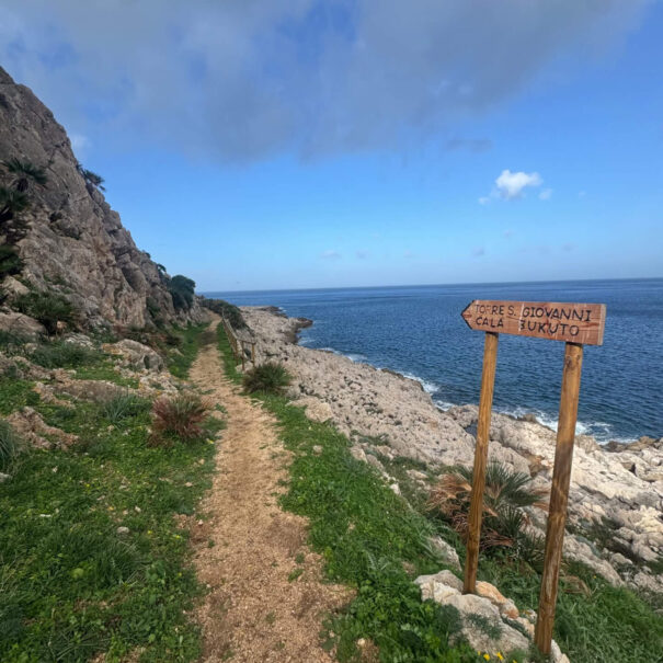 Monte Cofano